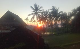 Pondok Diana Arta