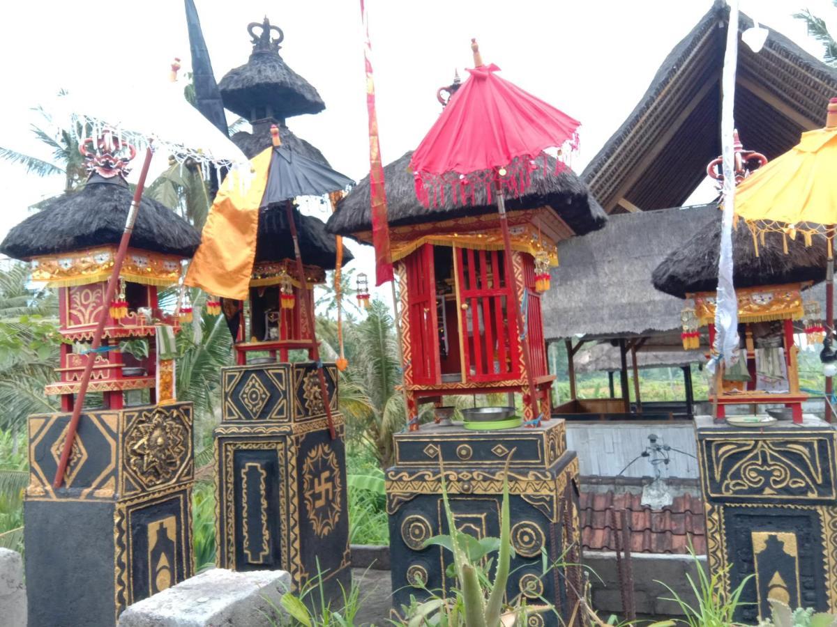 Pondok Diana Arta Jasri Extérieur photo