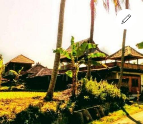 Pondok Diana Arta Jasri Extérieur photo